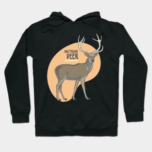 The Bactrian Deer Hoodie